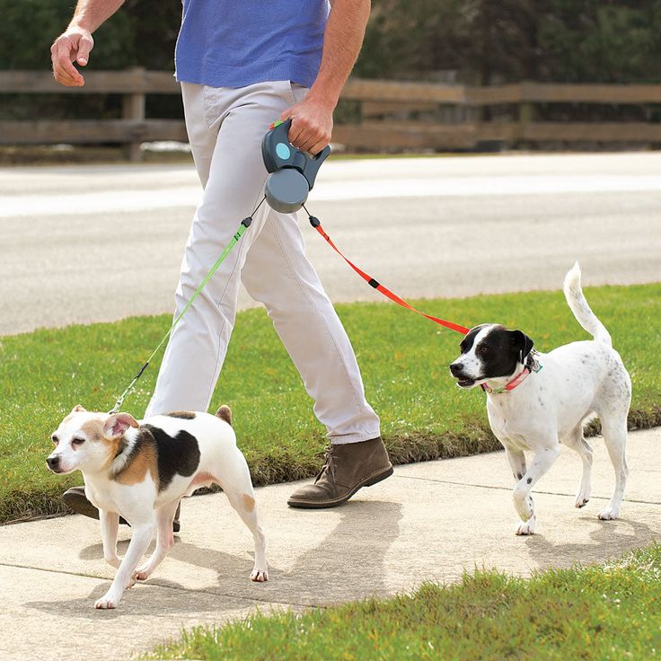 Retractable Reflective Dual Pet Leash Lead 360° Swivel Double Dog Walking Leash