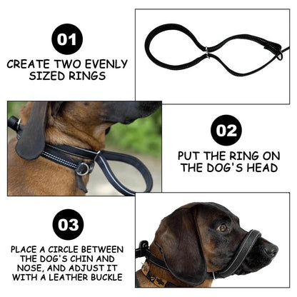 Retractable Reflective Dual Pet Leash Lead 360° Swivel Double Dog Walking Leash